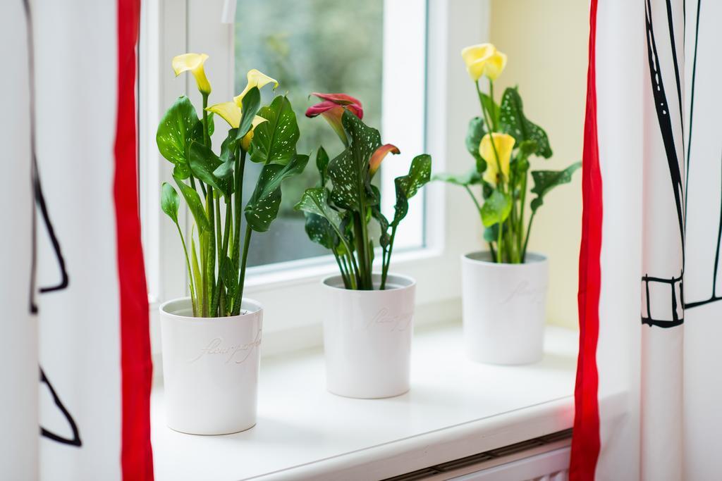 Style4Rent Sunny Old Town Apartments Krasków Rom bilde